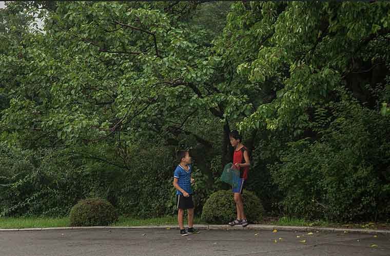 Hai bé trai đi bắt côn trùng dưới tán cây vào một buổi sáng sớm ở cố đô Khai Thành,  đất nước Triều Tiên.